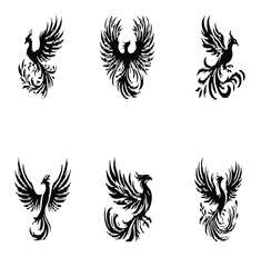 Bird Group Vector design