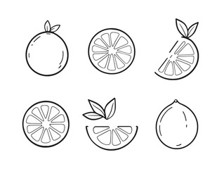 Fresh Grapefruit Slice Simple Line Art Vector Illustration