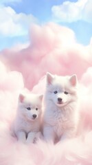 Obraz premium Wolf mammal animal cute.