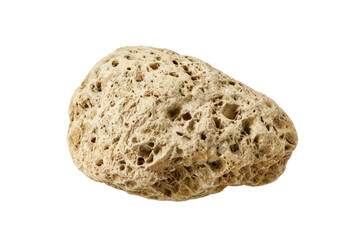 big coral stone with wholes isolated on white or transparent png