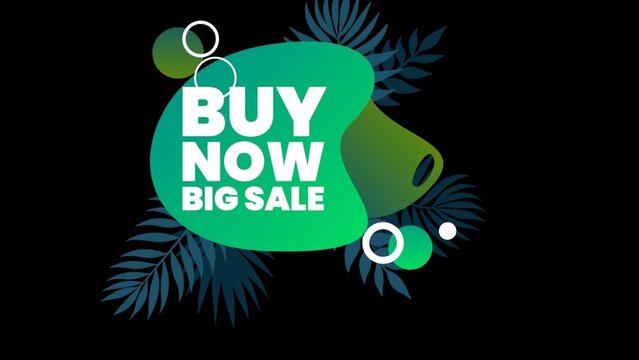 Modern Latin Vibes Summer Sale