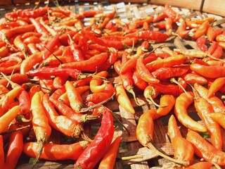 Dried chili for food preservation