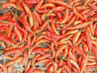 Dried chili for food preservation