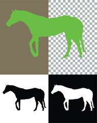 Wild horse silhouette vector illustration of a farm animal design outline