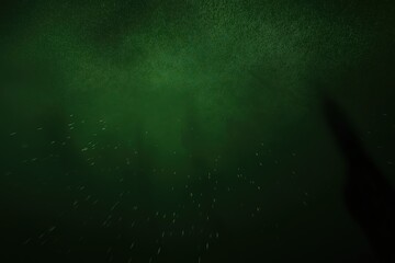 Subtle Specks Floating in a Murky Green Depth - Emerald Abyss