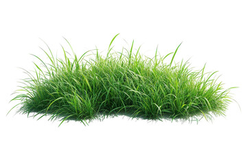 Lush Green Grass Clump Isolated on Transparent Background Wild Meadow Scene Vibrant Foliage Nature Element Fresh Growth