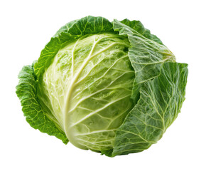 Obraz premium Fresh green cabbage for healthy meals and recipes, cut out transparent