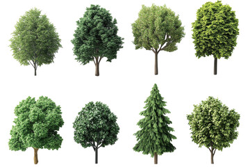 Diverse Green Trees Assortment Nature Foliage Botanical Elements Landscaping Woodland Forest on transparent background
