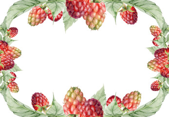 Raspberry leaves, ripe garden berries. Dewberry cloudberry mulberry loganberry tayberry boysenberry hand drawn in watercolor. Isolated border frame illustration. Wedding stationery, florist shop cards