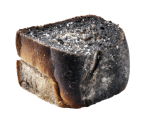 Burnt bread slice highlights kitchen mishap and cooking mistakes, cut out transparent