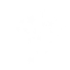 Star Bokeh Effect with Blurred Glow On Transparent Background