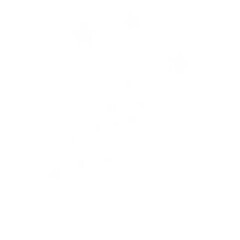 Star Bokeh Effect with Blurred Glow On Transparent Background