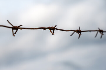 close-up of barbed wire against a cloudy sky