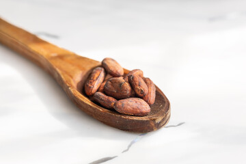 Closeup of cacao beans in wooden spoon