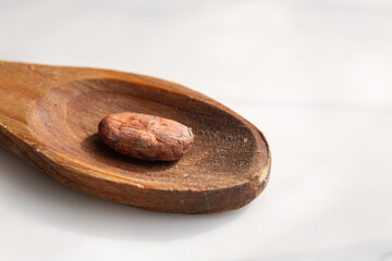 Cup of hot cocoa with cacao beans