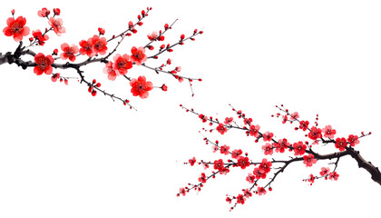 Fototapeta premium Pink cherry blossom tree branch with spring flowers on white