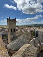 Vue d'Olite et d'une partie du ch&acirc;teau depuis les tours