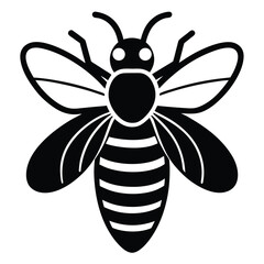 bee on white background