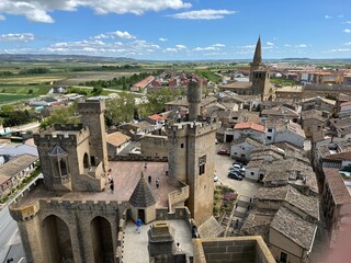 Vue d'Olite depuis le ch&acirc;teau