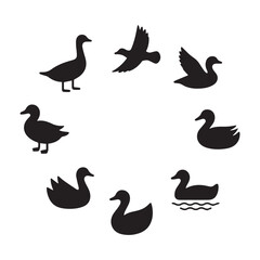A vector illustration of a set of black simple duck silhouettes.