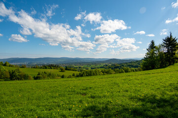 Ridge hiking trail from Javornik to Jested with scenic views into valleys and distant Jizera Mountains. Sunny summer day, peaceful nature and beautiful Czech landscape