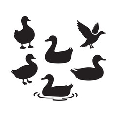 A vector illustration of a set of black simple duck silhouettes.