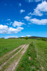 Fototapeta premium Ridge hiking trail from Javornik to Jested with scenic views into valleys and distant Jizera Mountains. Sunny summer day, peaceful nature and beautiful Czech landscape