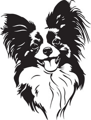 papillon dog portrait
