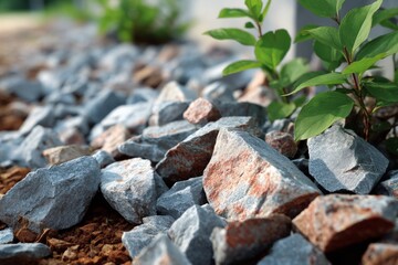 Fototapeta premium Natural stones and plants coexist beside a walkway in an outdoor environment during daylight hours