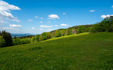 Ridge hiking trail from Javornik to Jested with scenic views into valleys and distant Jizera Mountains. Sunny summer day, peaceful nature and beautiful Czech landscape