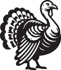Black and White Turkey Bird Vector Illustration