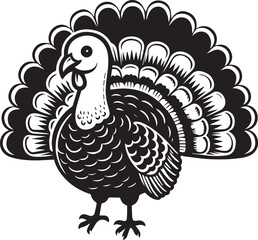 Black and White Turkey Bird Vector Illustration