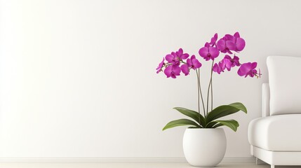 Elegant purple orchids in a modern white pot beside a minimalist white sofa in a bright room