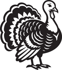 Black and White Turkey Bird Vector Illustration