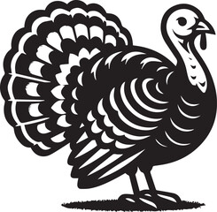 Black and White Turkey Bird Vector Illustration