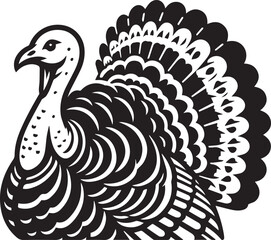 Black and White Turkey Bird Vector Illustration