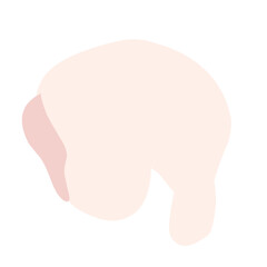 Chicken Meat Flat Illustration 