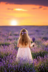 girl child stands in a field of lavender and looks at the sunset. She is wearing a light pink dress and a lilac bow. There is a bouquet of lavender in her hand. View from the back