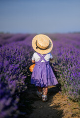 little girl child in a lilac sundress and a braided hat stands in a field of lavender