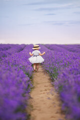 A one-year-old girl in a fluffy dress and a braided hat walks in a lavender field. View from the back