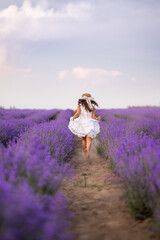 girl in a white dress runs through a field of lavender. Hair develops beautifully, view from the back, Provence