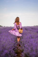 girl in a lilac dress in a field of lavender. She has a woven bag, rear view