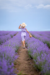 girl in a lilac suit walks in a lavender field