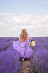 girl in a lush lilac dress in a lavender field