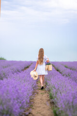 A girl in a white dress walks with a basket in a lavender field. She has a wicker hat and a basket of flowers.