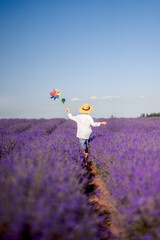 A boy in a hat runs into a field of lavender. Provence
