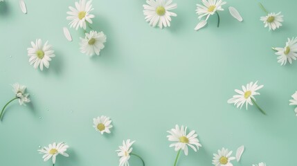 Top view of white daisies scattered gracefully on a clean, soft mint green table, providing plenty of space for additional elements.