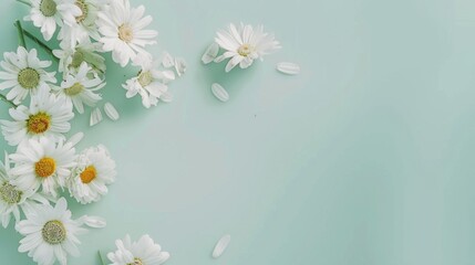 Top view of white daisies scattered gracefully on a soft mint green table, evoking a sense of purity and freshness.