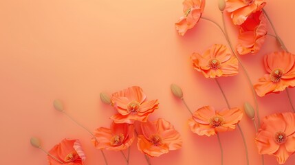 Vibrant orange poppies arranged neatly on a soft coral table, complemented by intricate, artistic lines.
