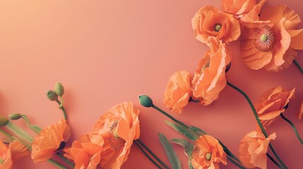 Vibrant orange poppies neatly arranged on a soft coral table, with plenty of room for celebratory wishes or text.